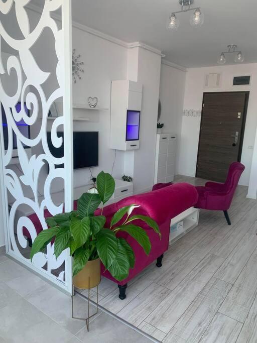 Cool Apartment Тимишоара Екстериор снимка